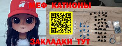 индика Новодвинск