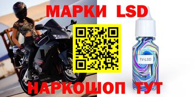 индика Новодвинск