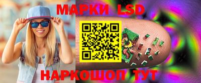 индика Новодвинск