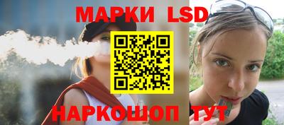 индика Новодвинск