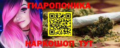индика Новодвинск