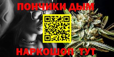 индика Новодвинск