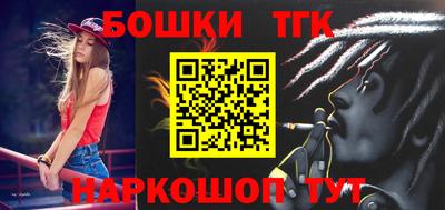индика Новодвинск