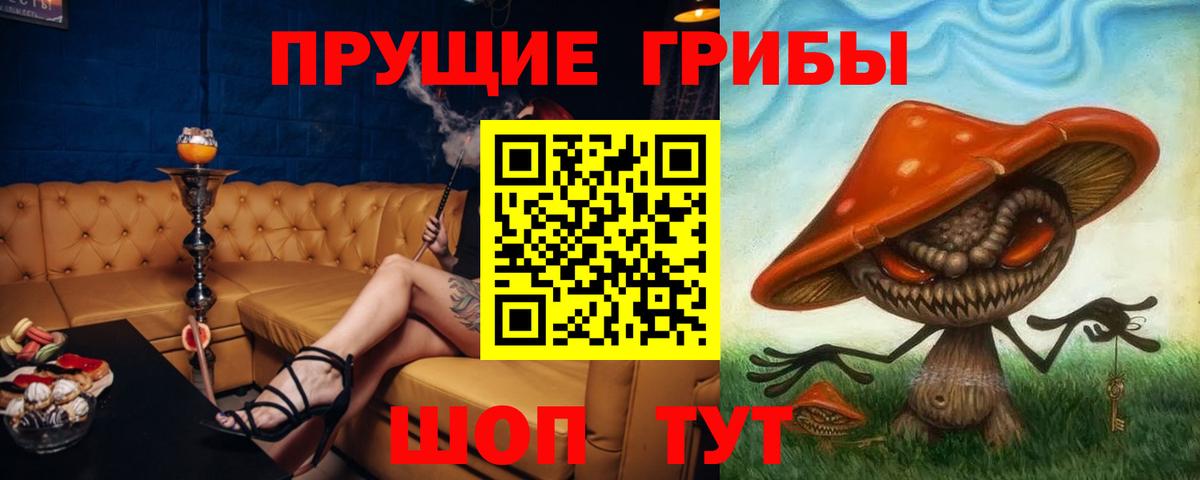 Галлюциногенные грибы Psilocybe Славянск-на-Кубани